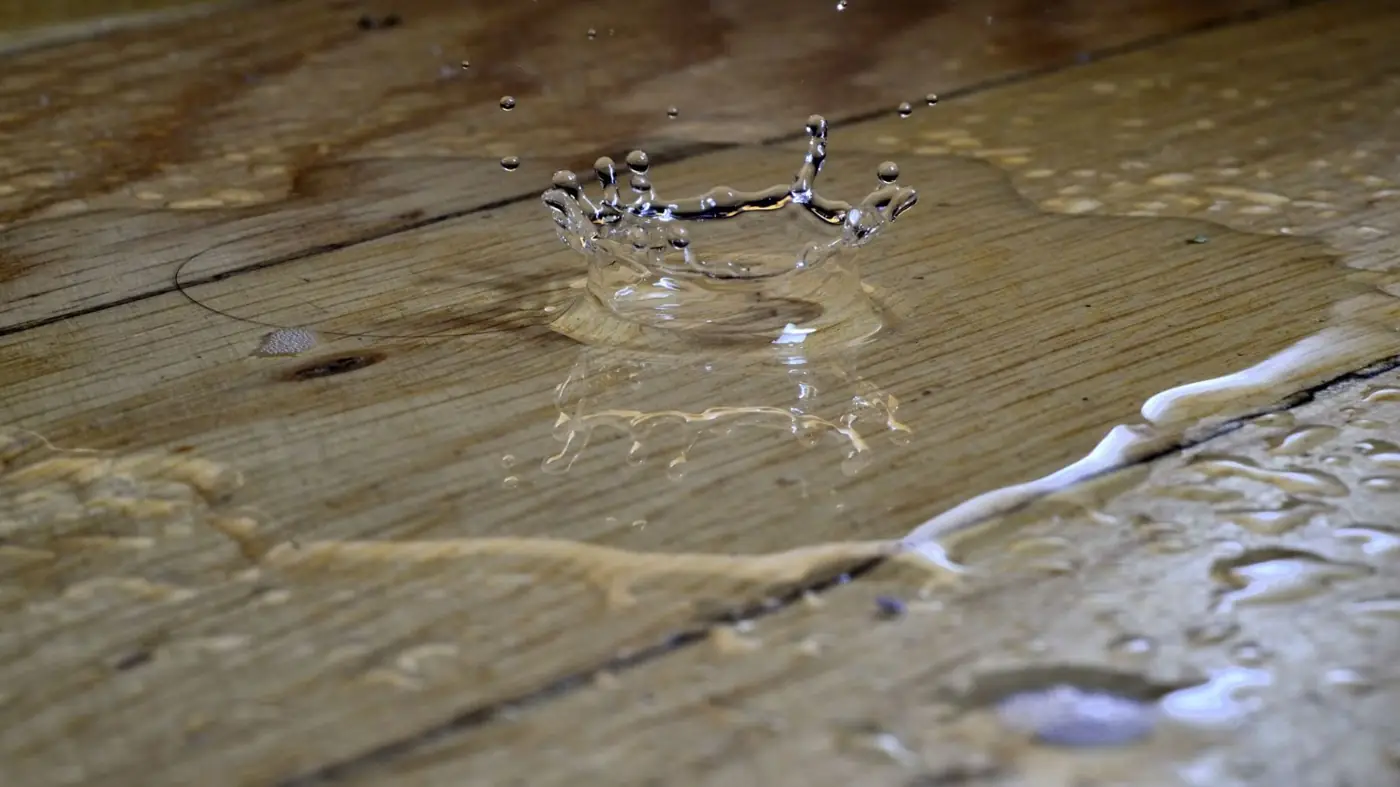 Water pooling on a wood floor