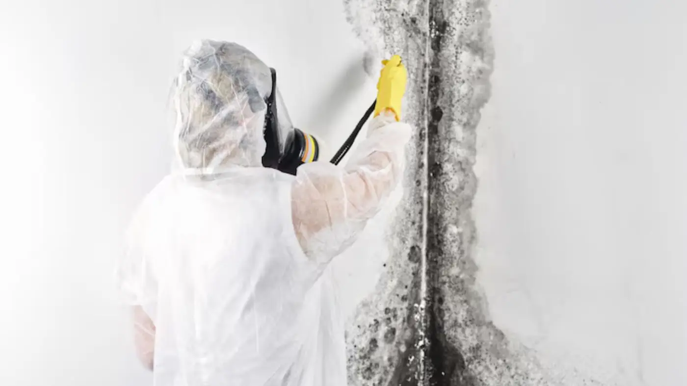 Worker in protective gear treating black mold on a wall